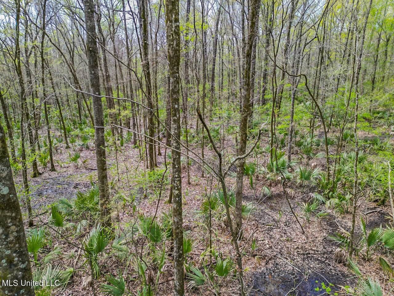 Affordable Deer/Duck Combination in Concordia Parish