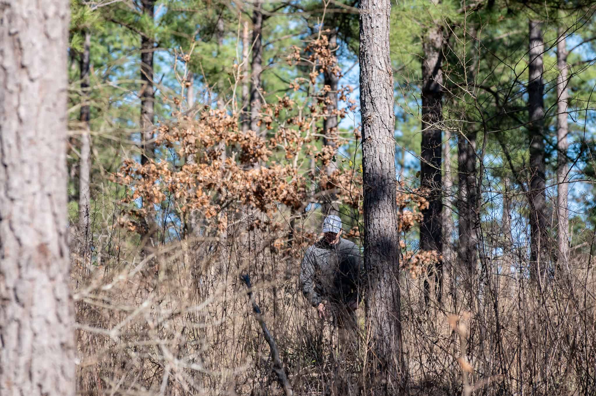 Premier East Texas Hunting & Timberland for Sale – 699 Acres in Ben Wheeler, TX