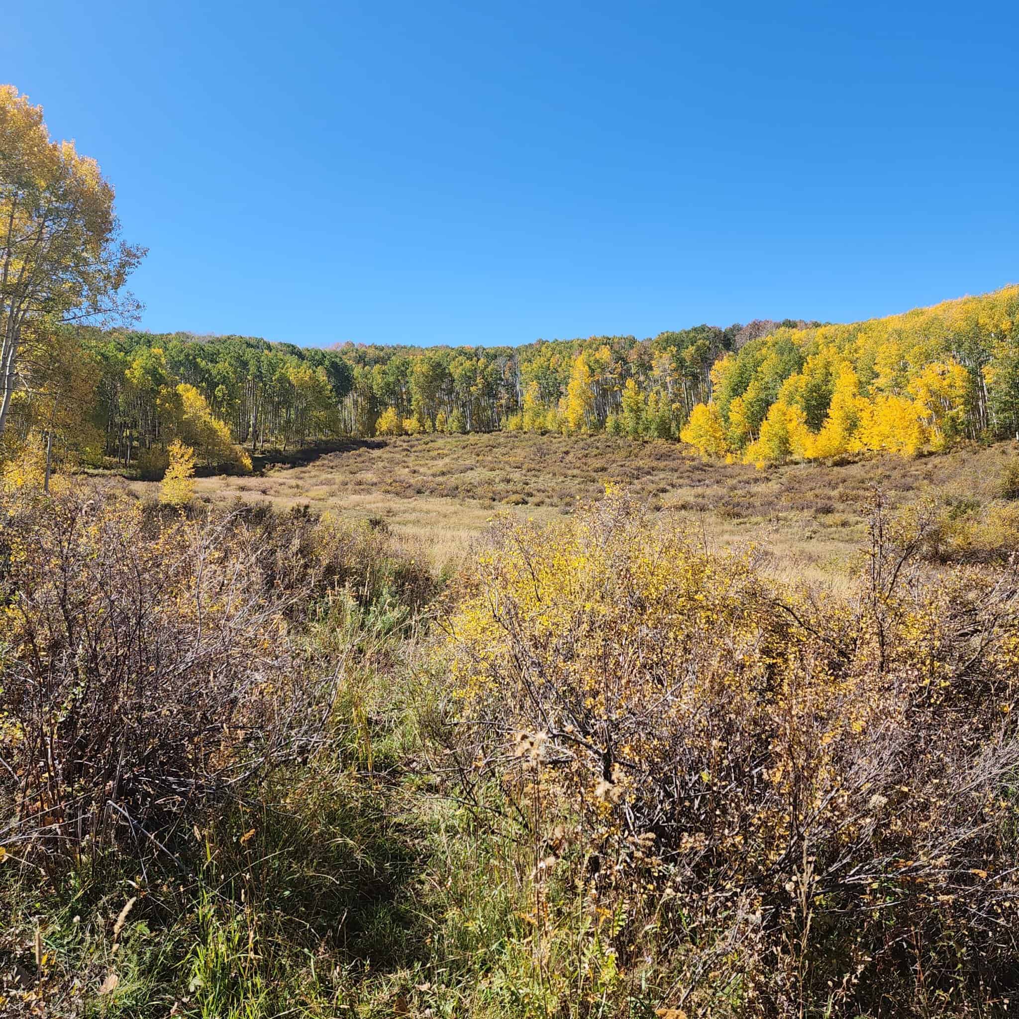 Colorado Hunting Property for Sale