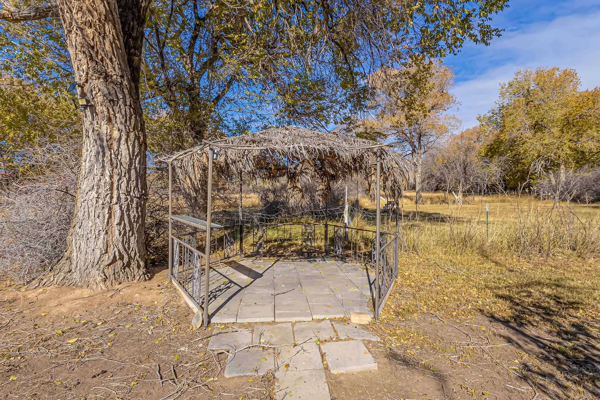 39 acre irrigated farm for sale near Grand Junction Colorado