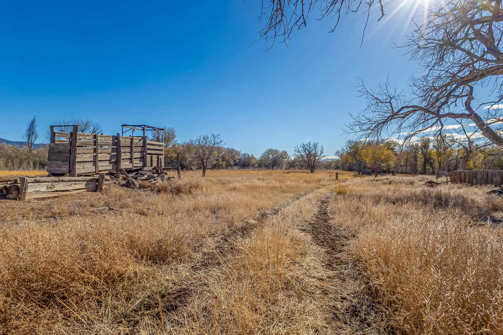 39 acre irrigated farm for sale near Grand Junction Colorado