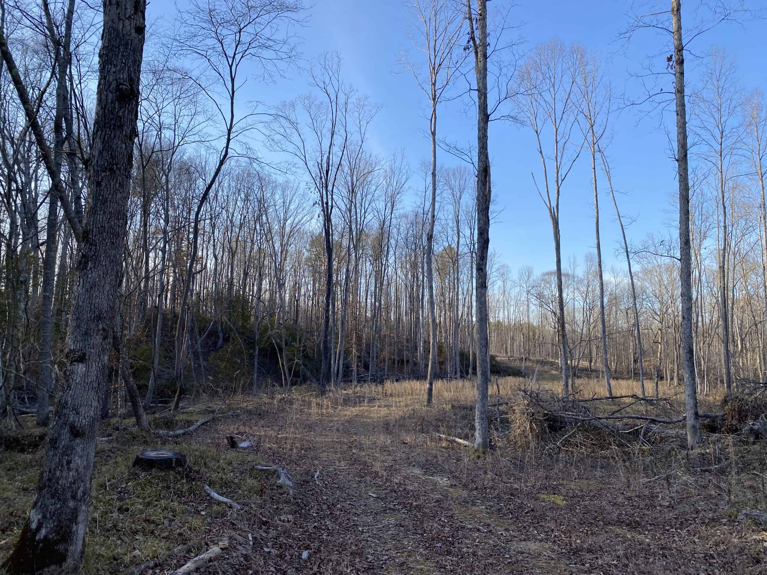 HUNTING PROPERTY FOR SALE IN TN, ROCK BOTTOM CREEKS & 5 FIELDS