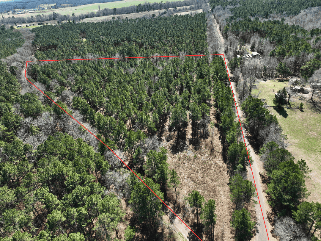 East Texas Timberland Investment & Hunting Tract