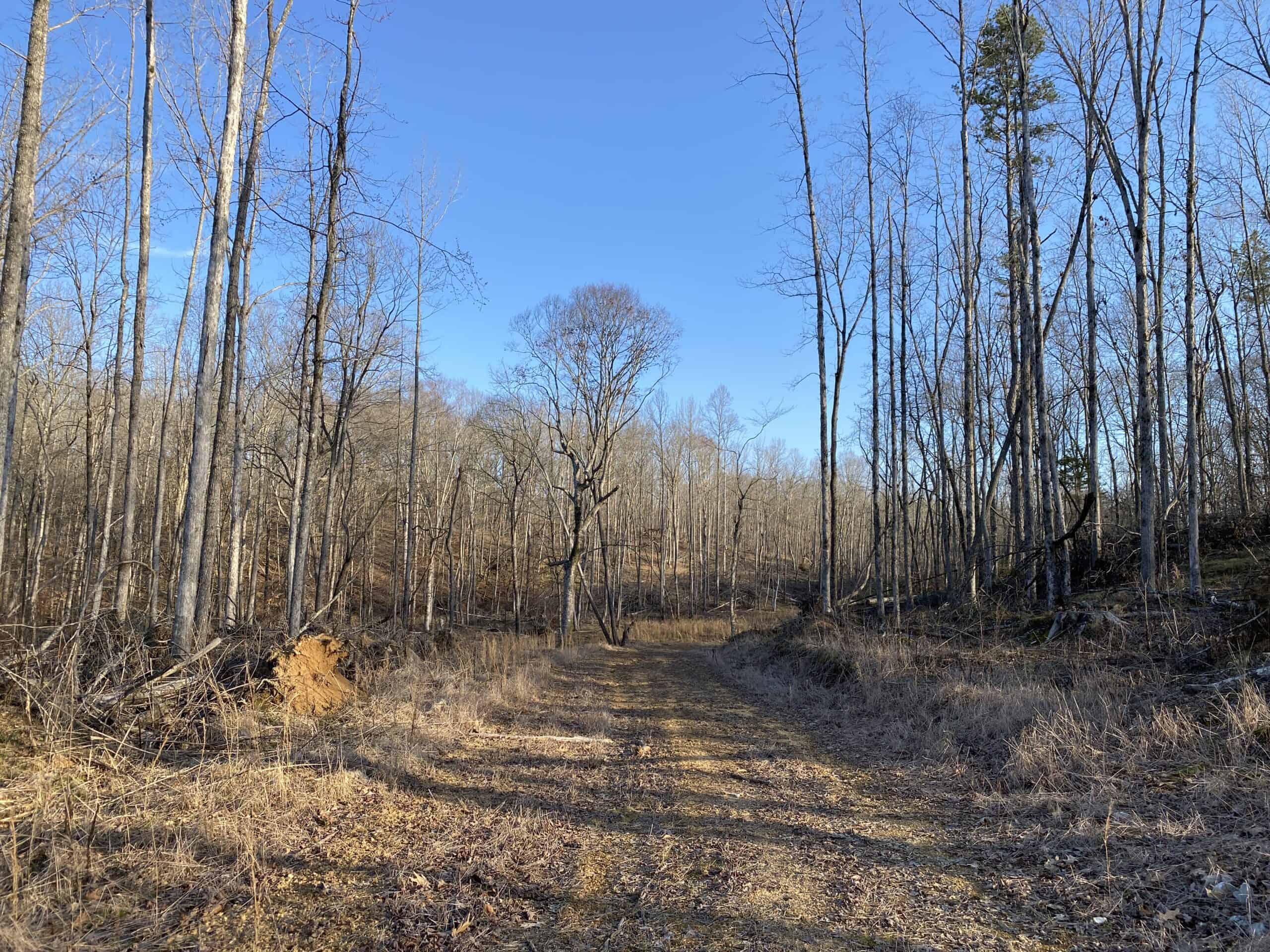 HUNTING PROPERTY FOR SALE IN TN, ROCK BOTTOM CREEKS & 5 FIELDS