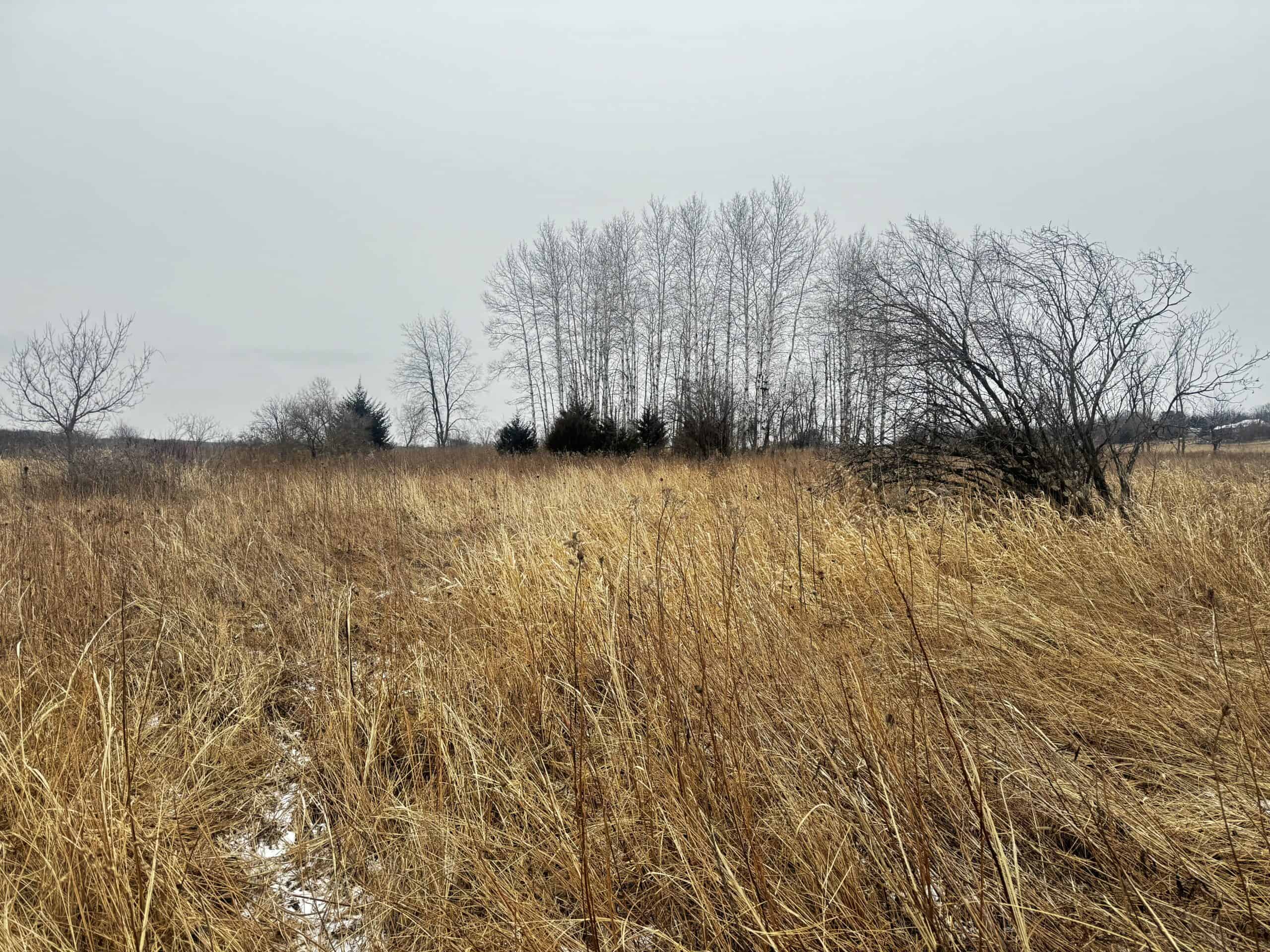40-acre gem in Marquette County, Wisconsin