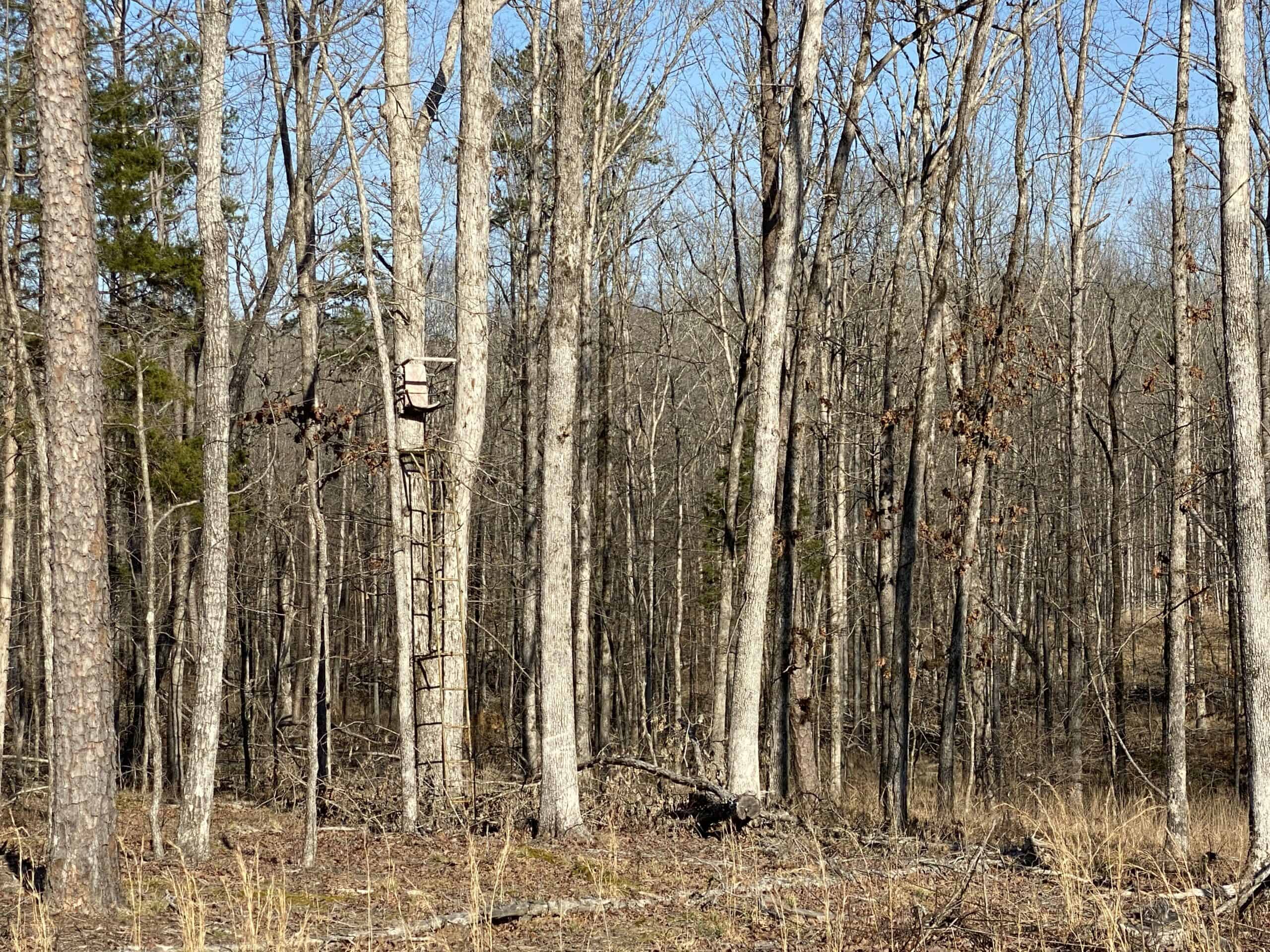 HUNTING PROPERTY FOR SALE IN TN, ROCK BOTTOM CREEKS & 5 FIELDS