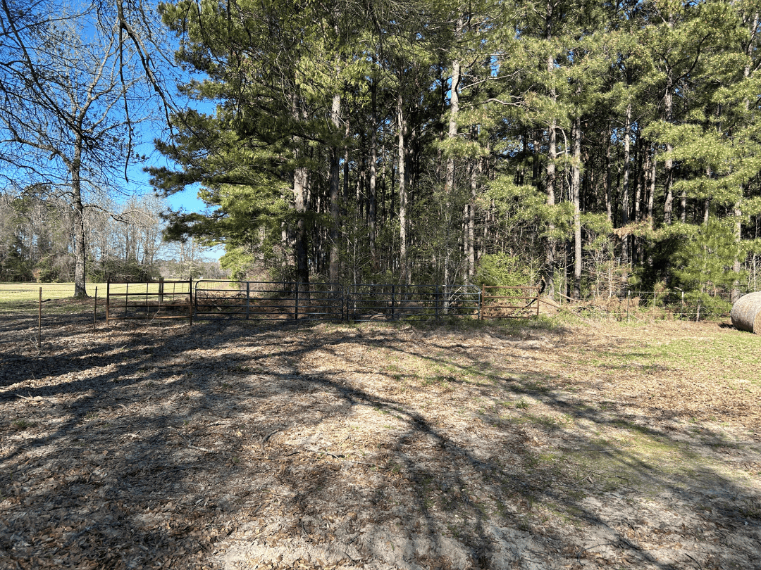 Hunting & Timber Investment Property for Sale in East Texas