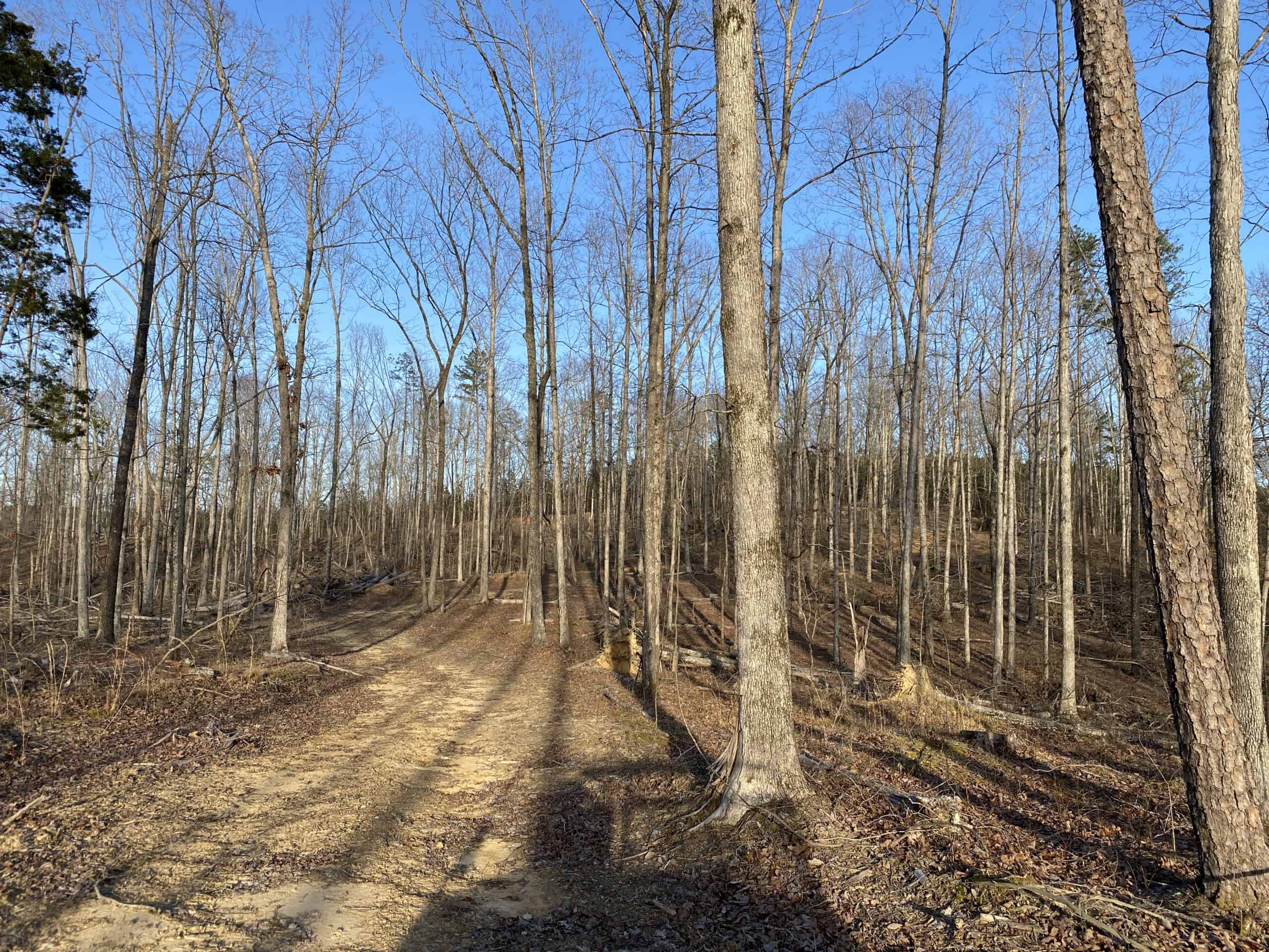 HUNTING PROPERTY FOR SALE IN TN, ROCK BOTTOM CREEKS & 5 FIELDS