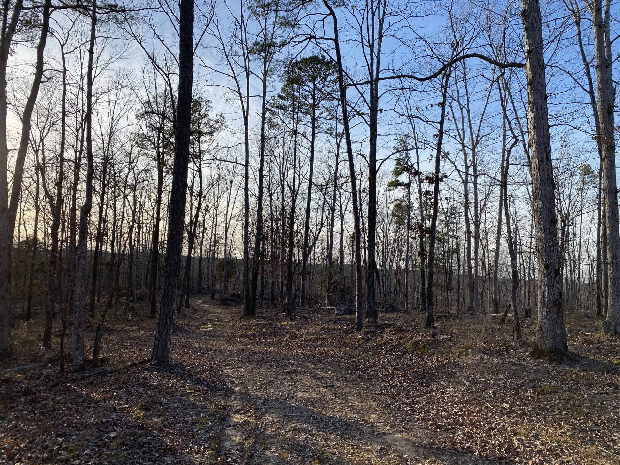 HUNTING PROPERTY FOR SALE IN TN, ROCK BOTTOM CREEKS & 5 FIELDS