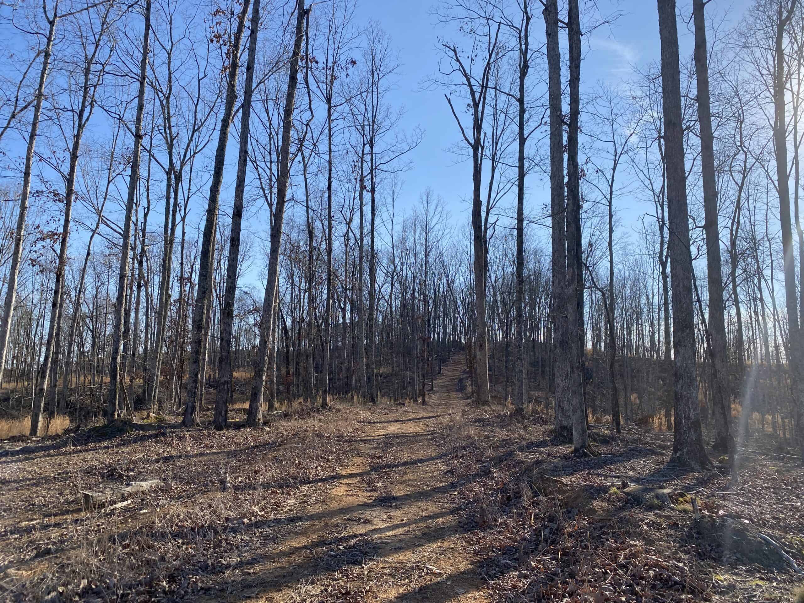 HUNTING PROPERTY FOR SALE IN TN, ROCK BOTTOM CREEKS & 5 FIELDS