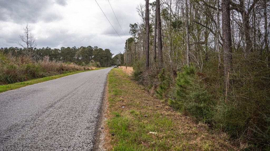 Affordable Hunting Property in Amite County