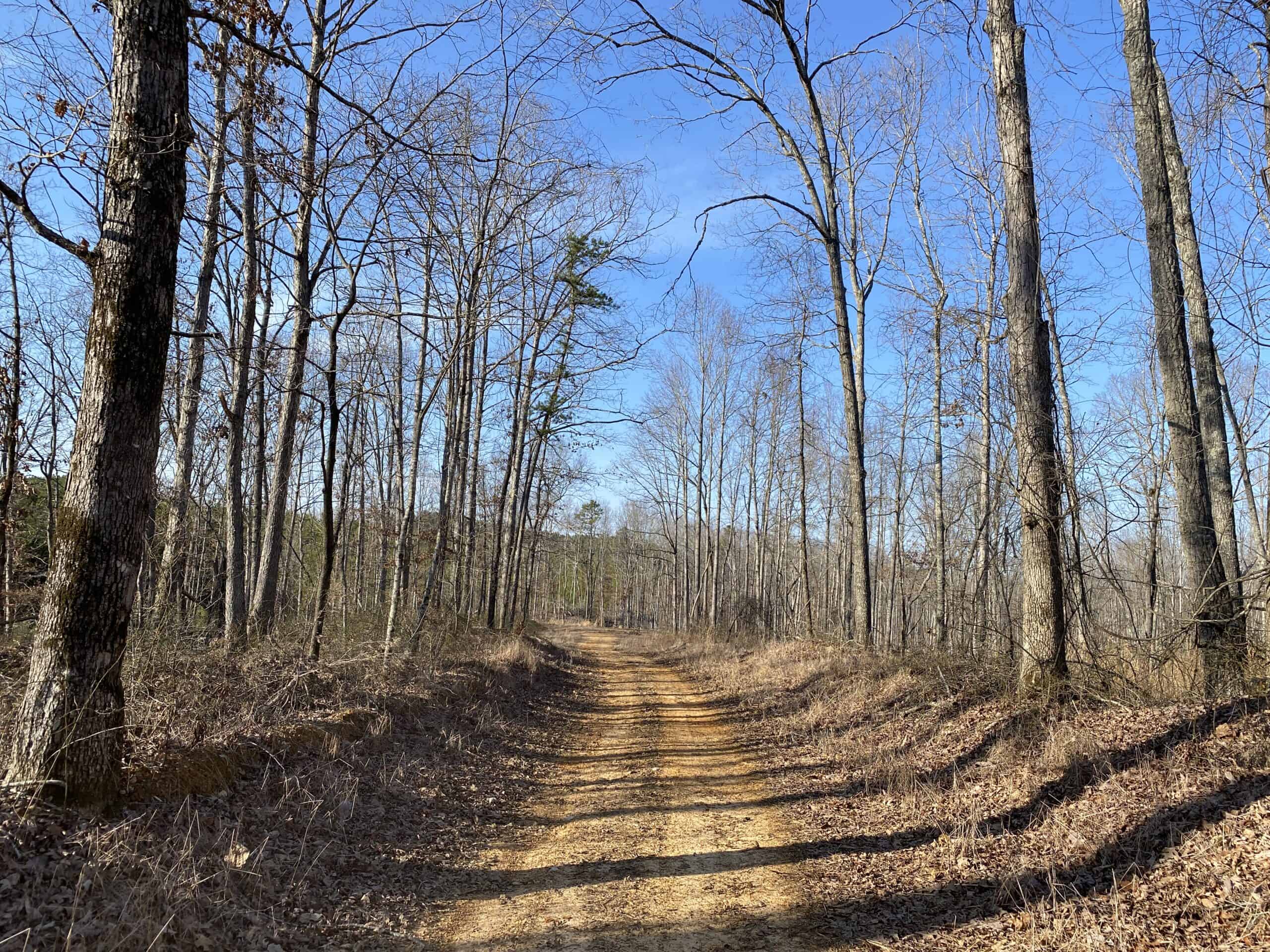 HUNTING PROPERTY FOR SALE IN TN, ROCK BOTTOM CREEKS & 5 FIELDS