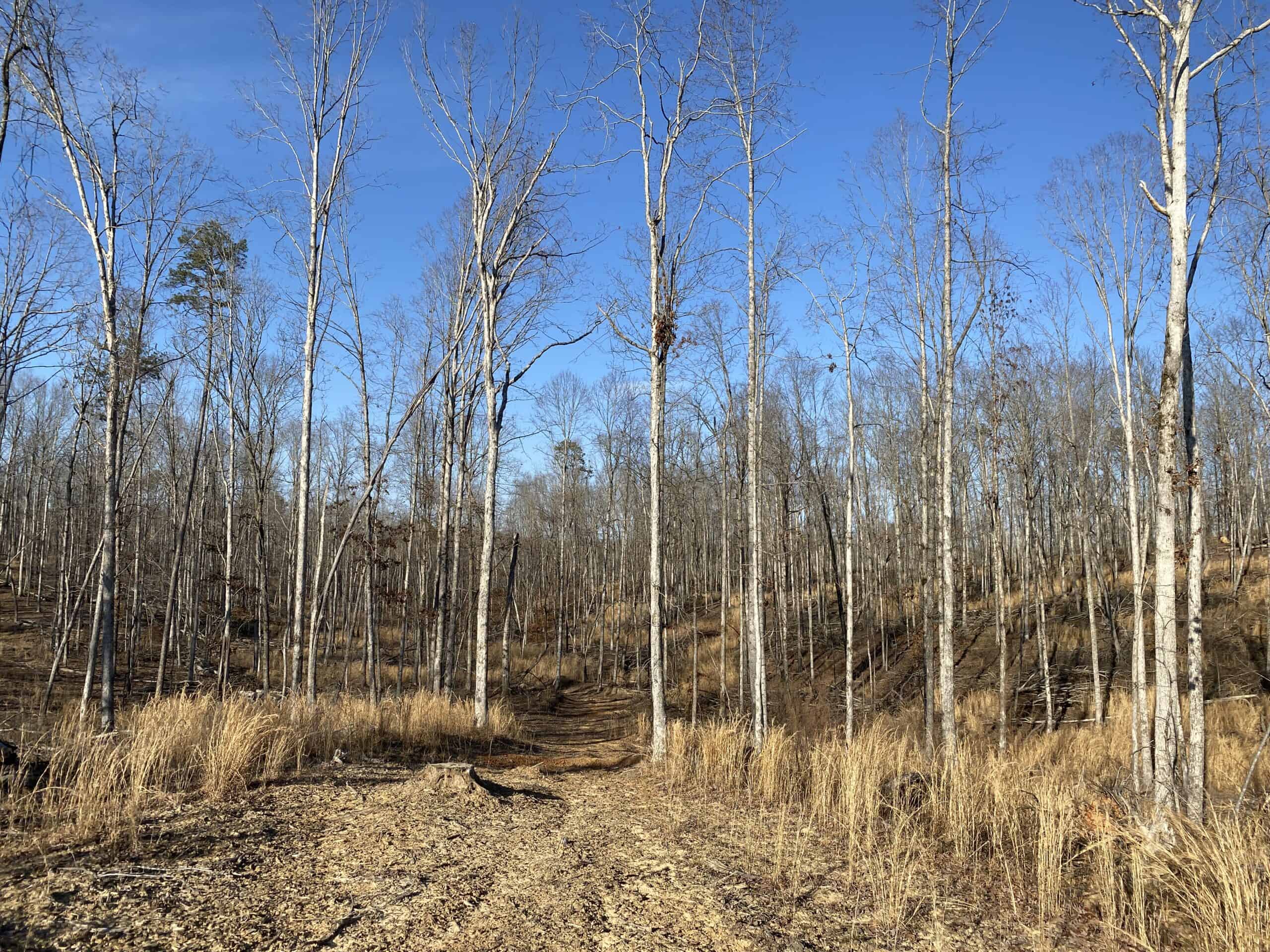 HUNTING PROPERTY FOR SALE IN TN, ROCK BOTTOM CREEKS & 5 FIELDS