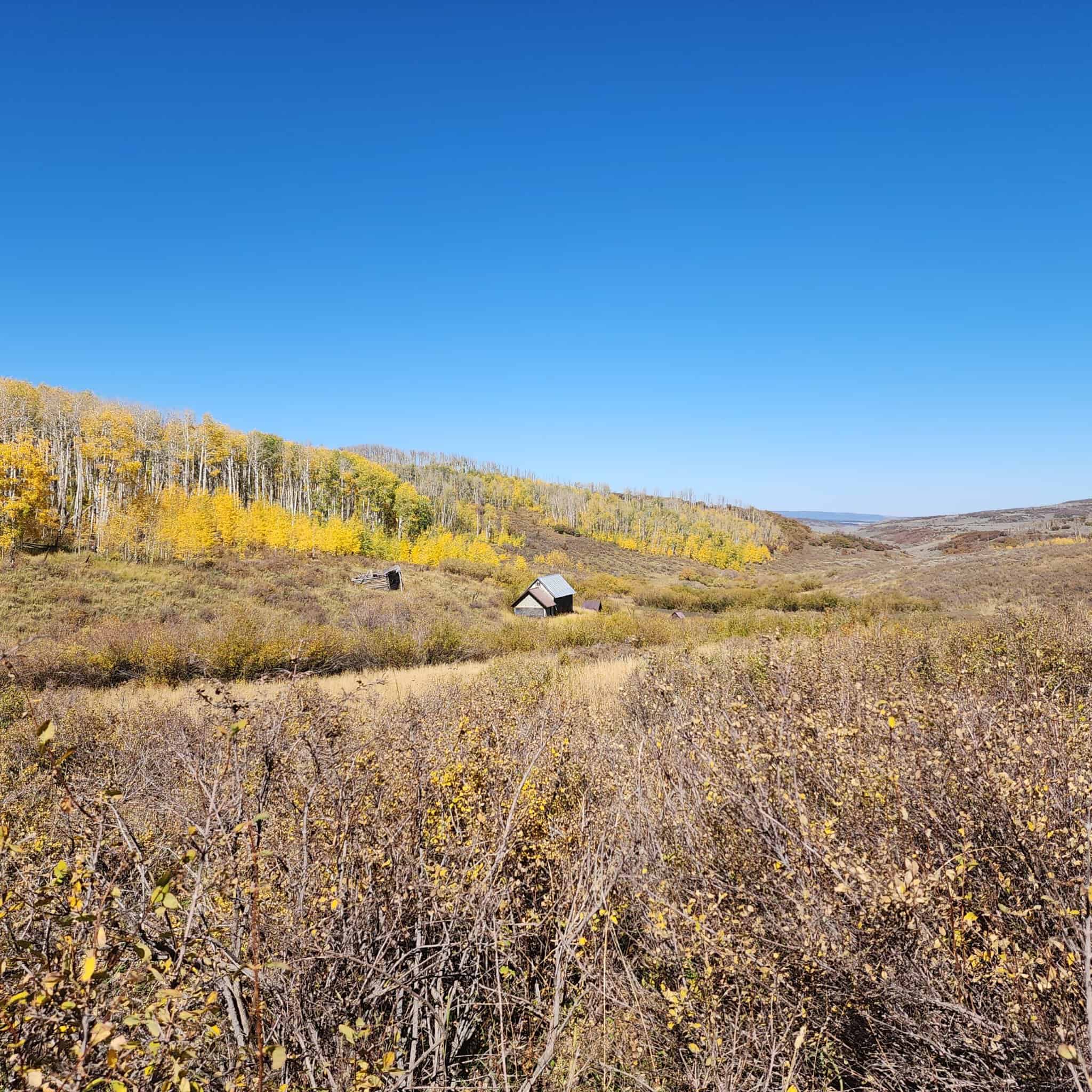 Colorado Hunting Property for Sale