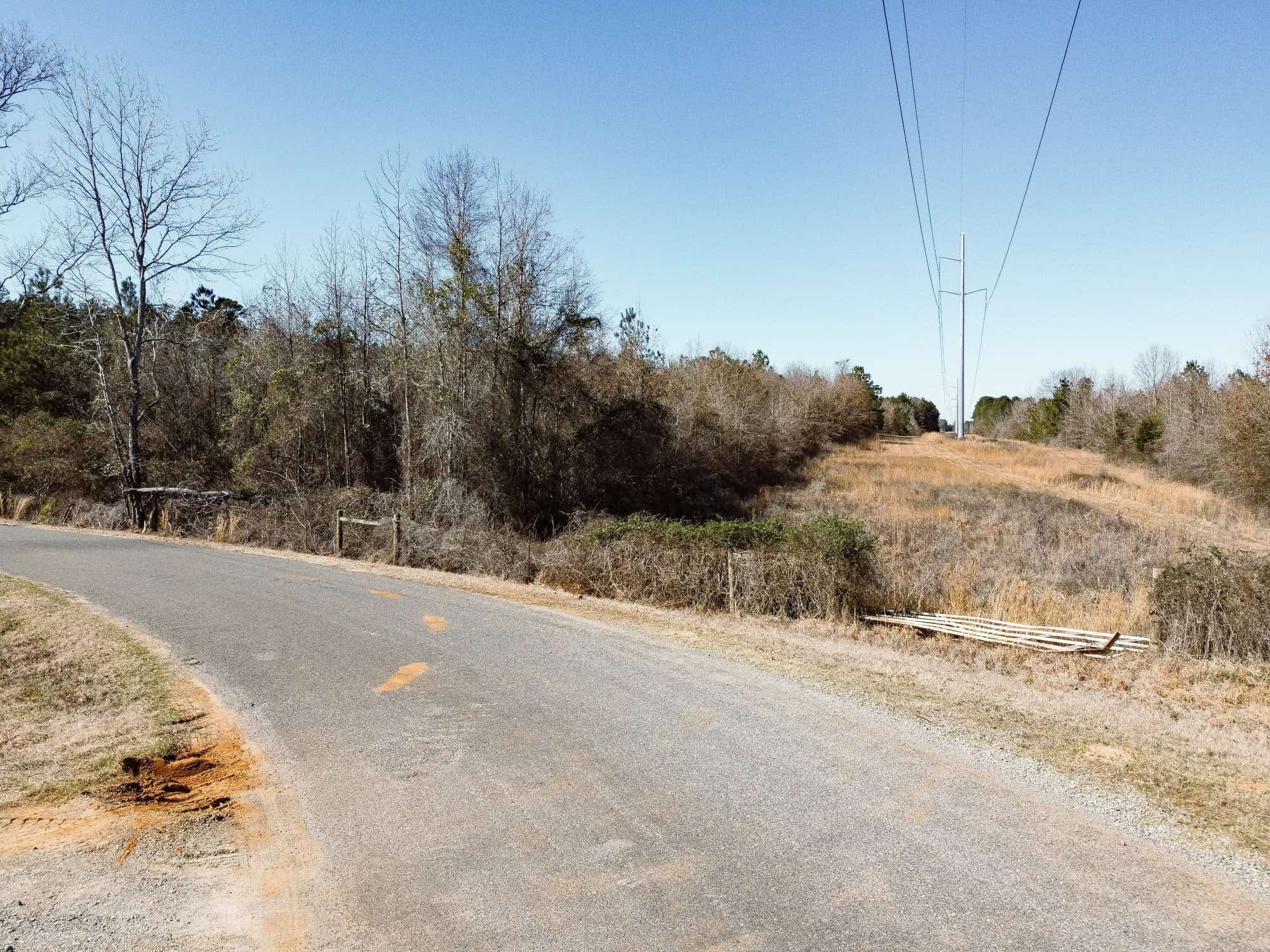 Woodville 45 – SW Lincoln Parish Timber Tract