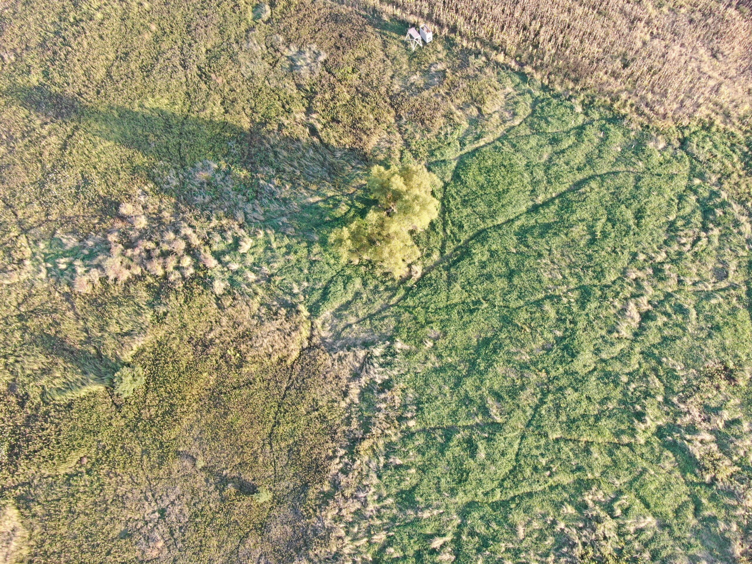 40-acre gem in Marquette County, Wisconsin