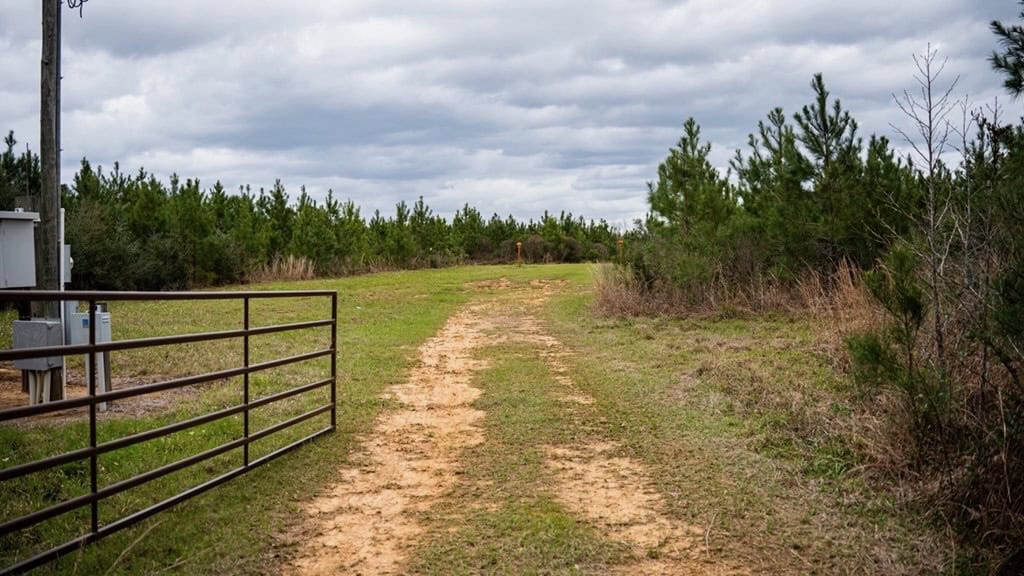 Affordable Hunting Property in Amite County