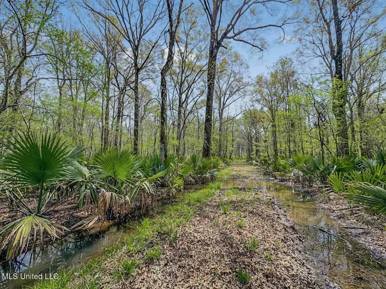 Affordable Deer/Duck Combination in Concordia Parish