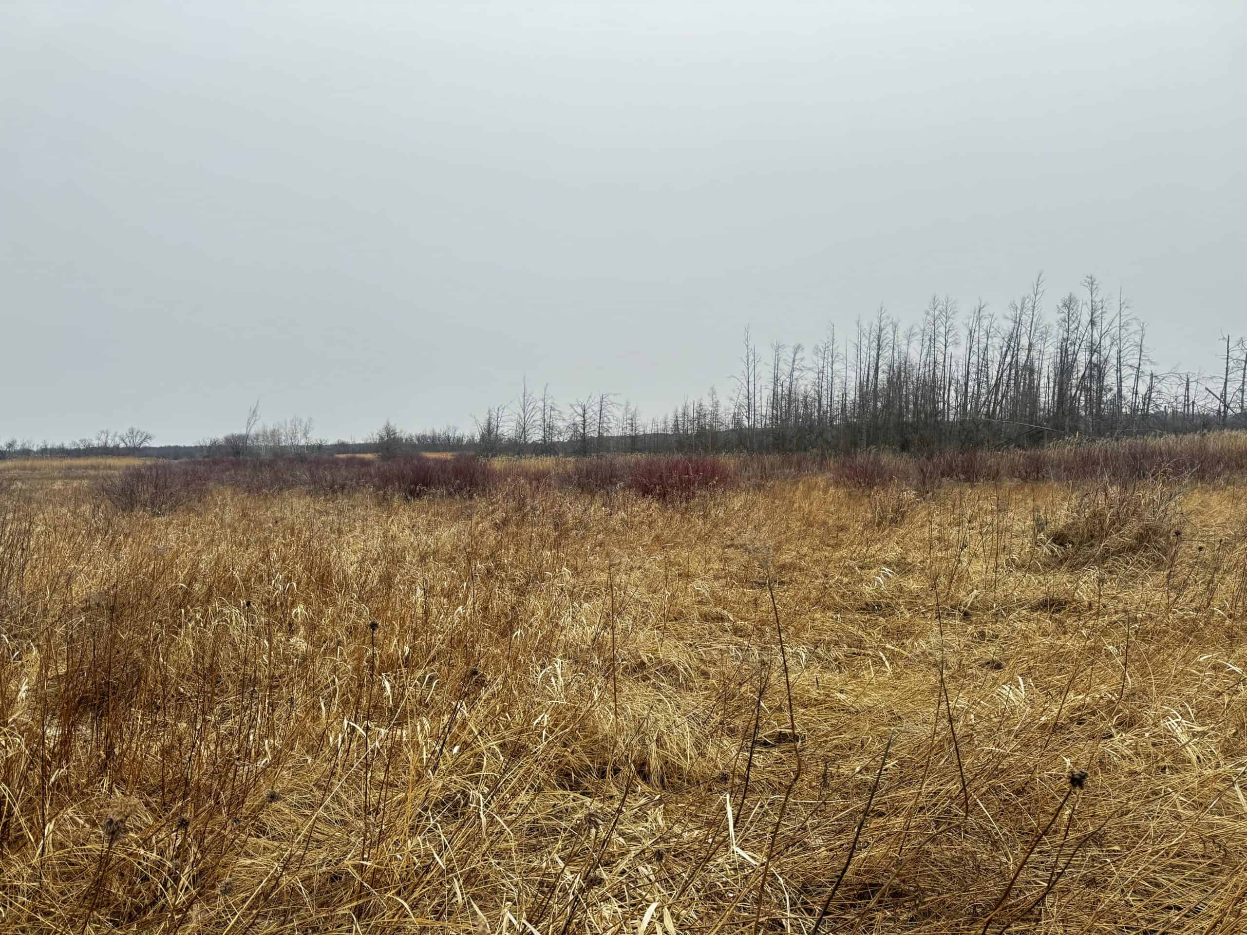 40-acre gem in Marquette County, Wisconsin