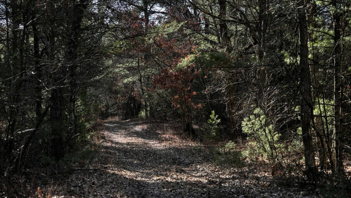 Premier Hunting and Recreational Property in Monroe County