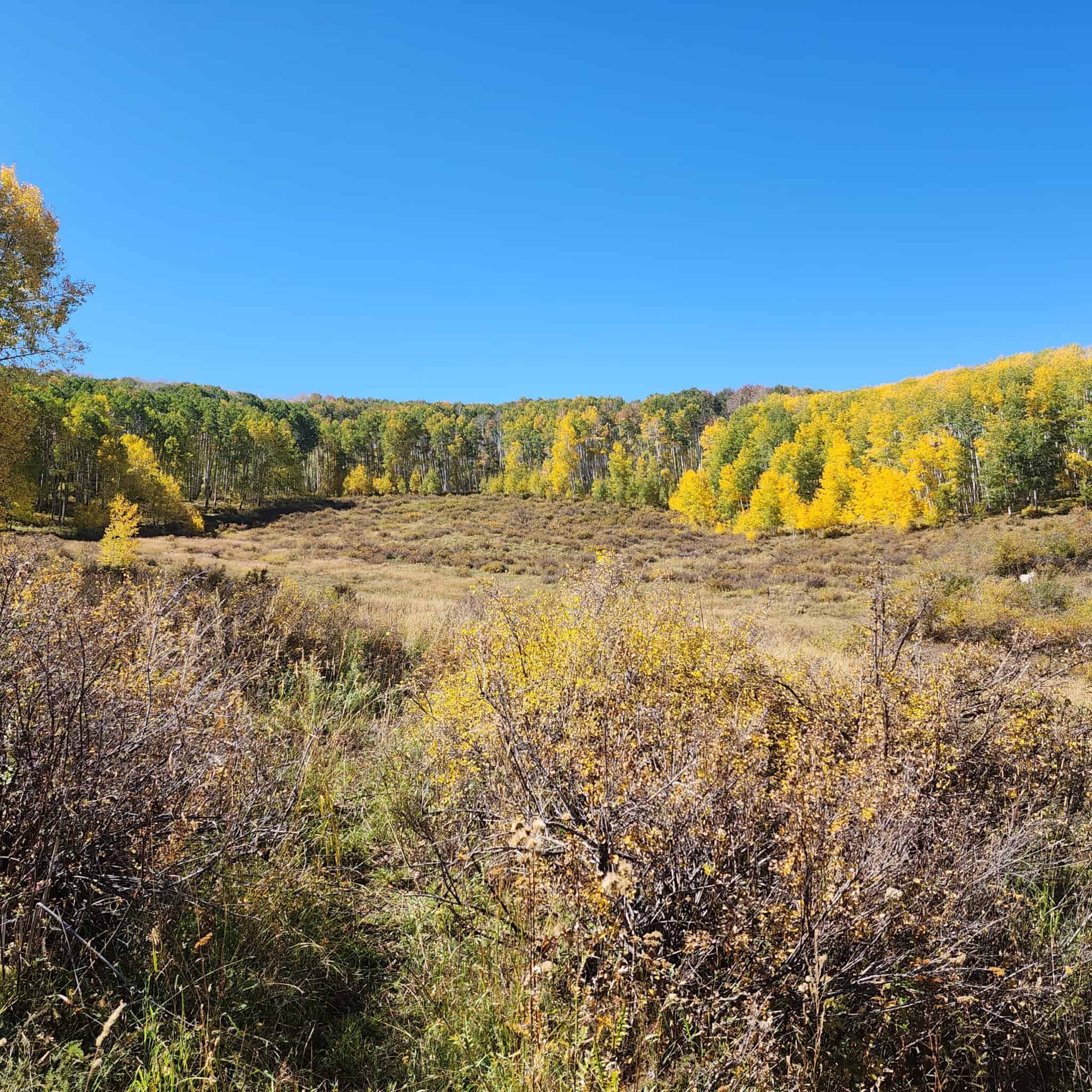 Colorado Hunting Property for Sale