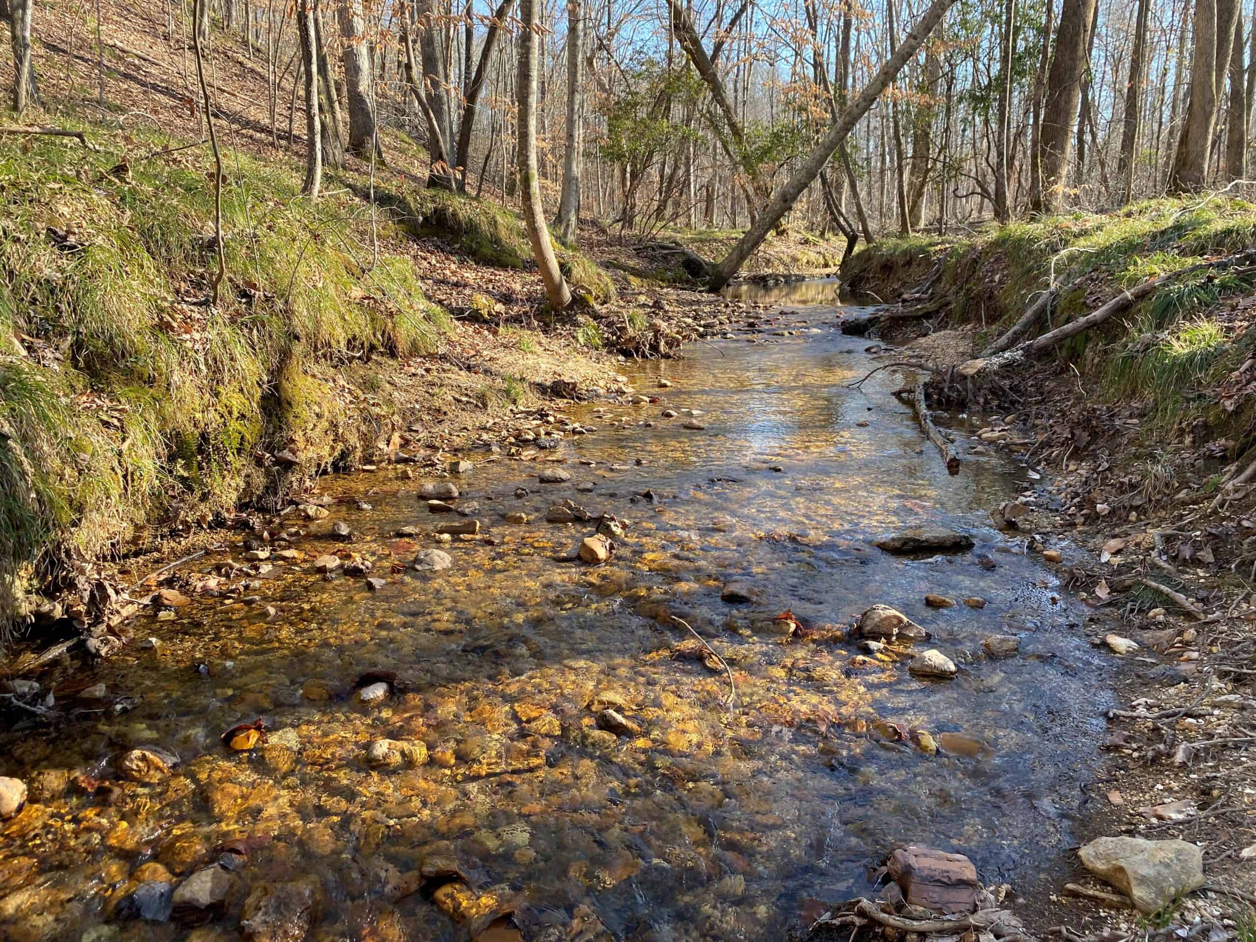 HUNTING PROPERTY FOR SALE IN TN, ROCK BOTTOM CREEKS & 5 FIELDS
