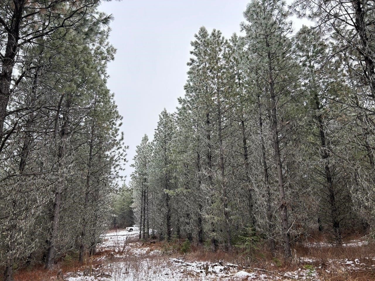 Land for Sale near Orofino in Clearwater County, Idaho