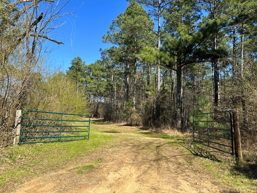 East Texas Timberland Investment & Hunting Tract
