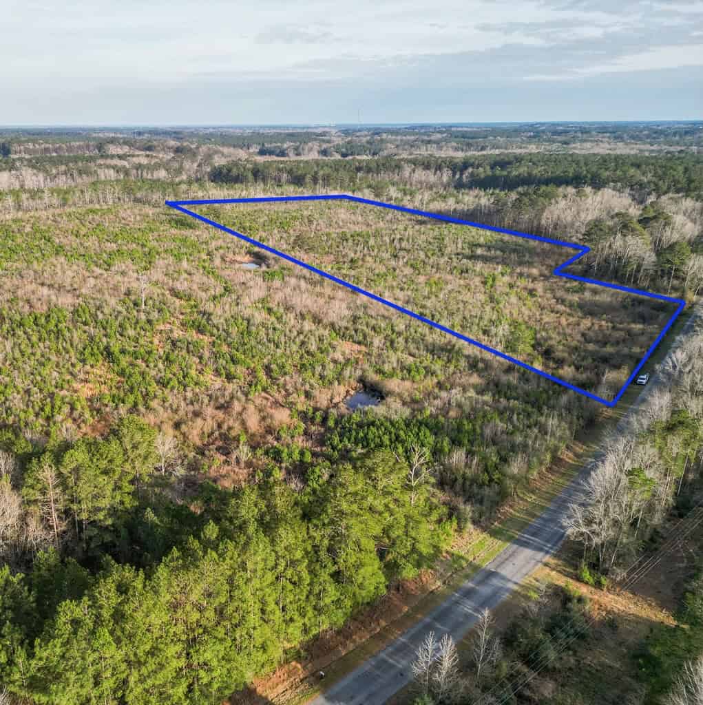 Land for Sale in Amite County, MS