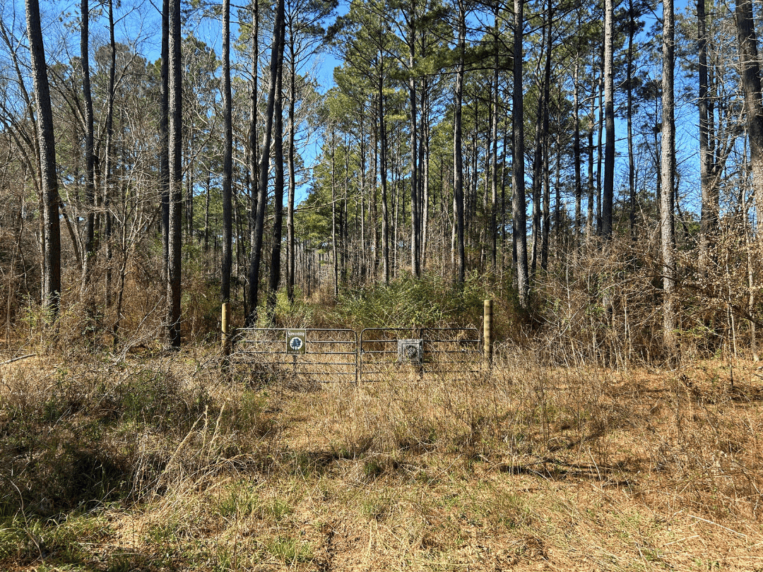 East Texas Timberland and Recreational Tract