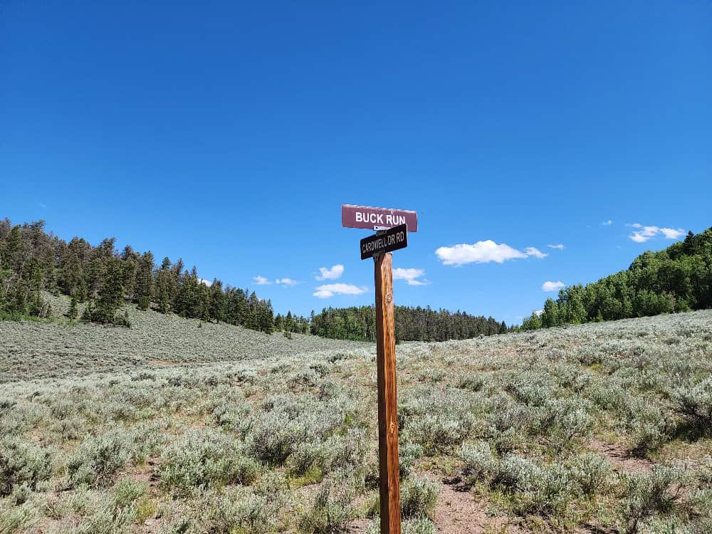 40 Acres in Powderhorn, CO