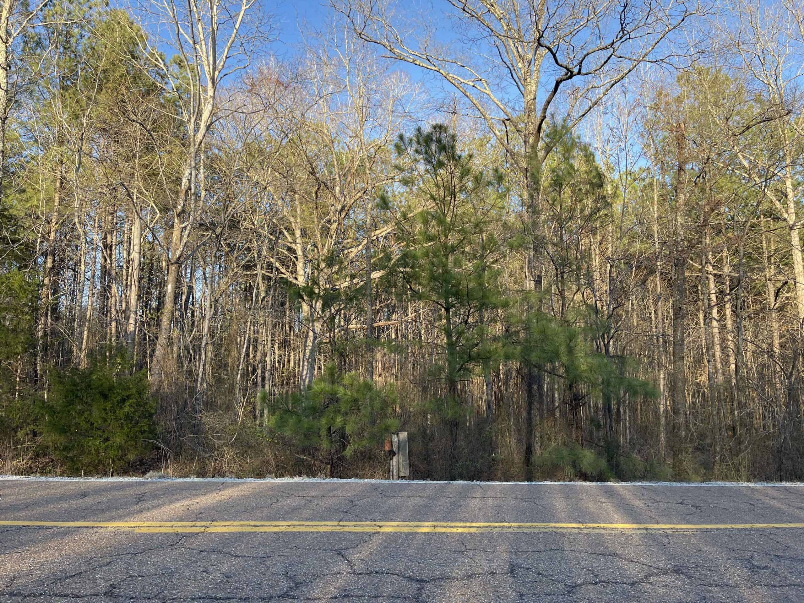 HUNTING LAND FOR SALE NEAR TN RIVER WITH CREEK 154.16Acres