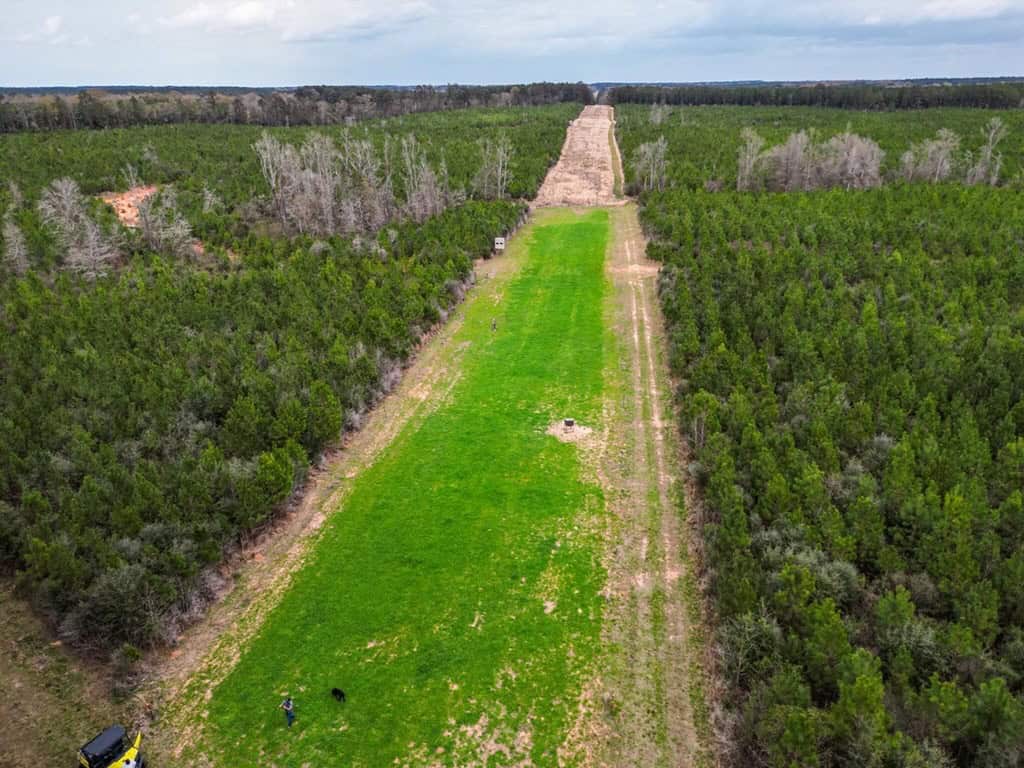 Affordable Hunting Property in Amite County