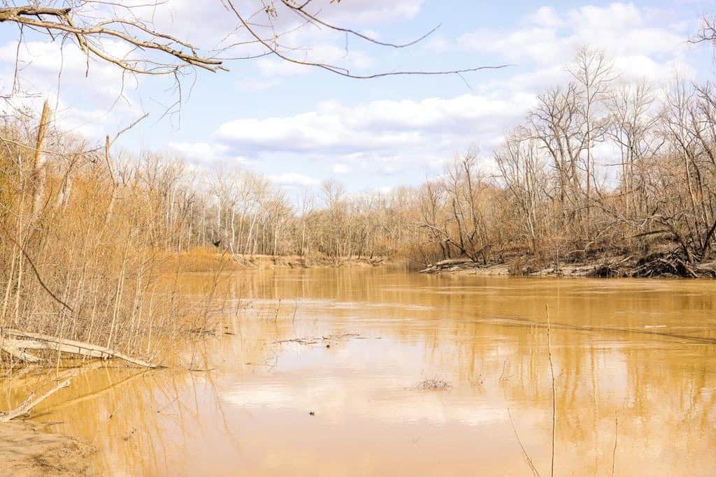 Land for Sale in Warren County, MS