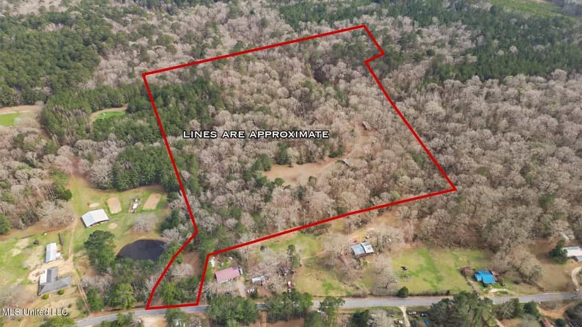 20 Acres and Cabin Adjoining Homochitto National Forest