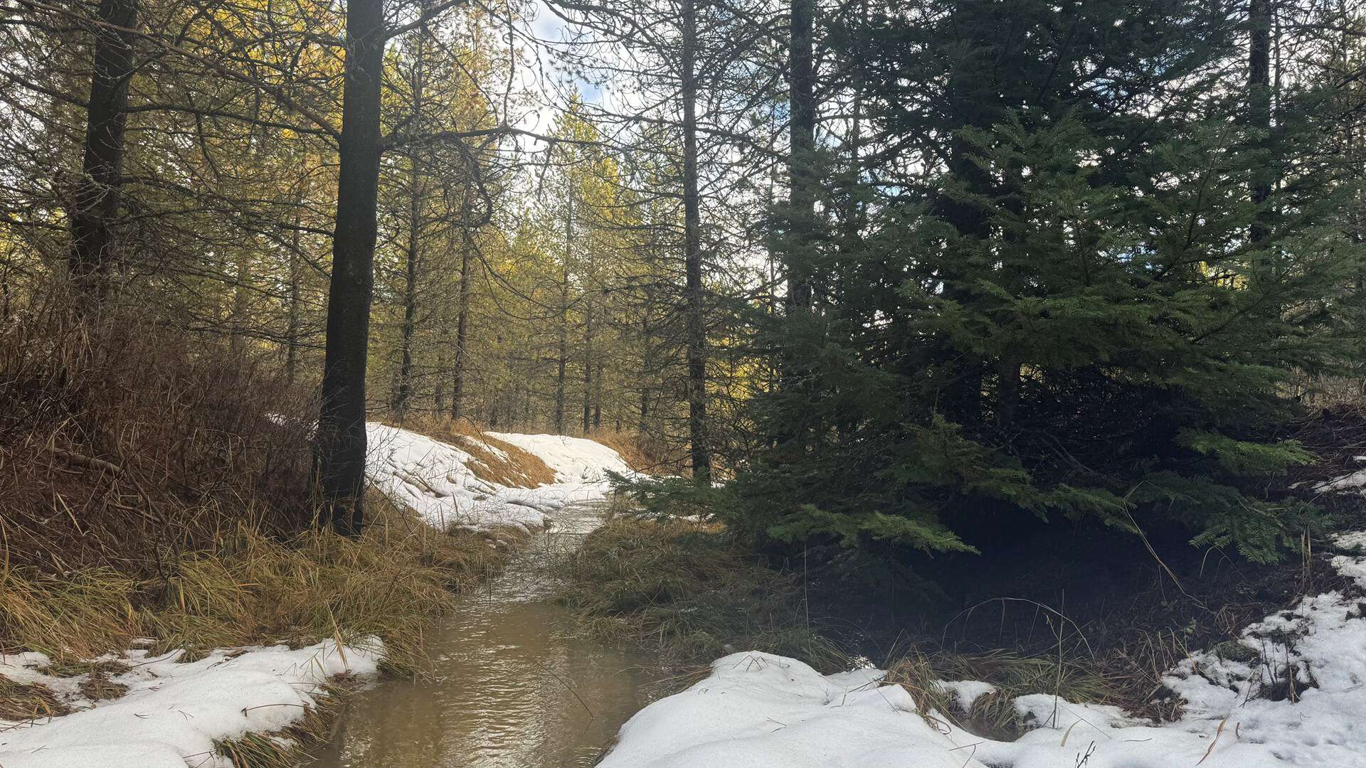Land for Sale in Orofino, Idaho