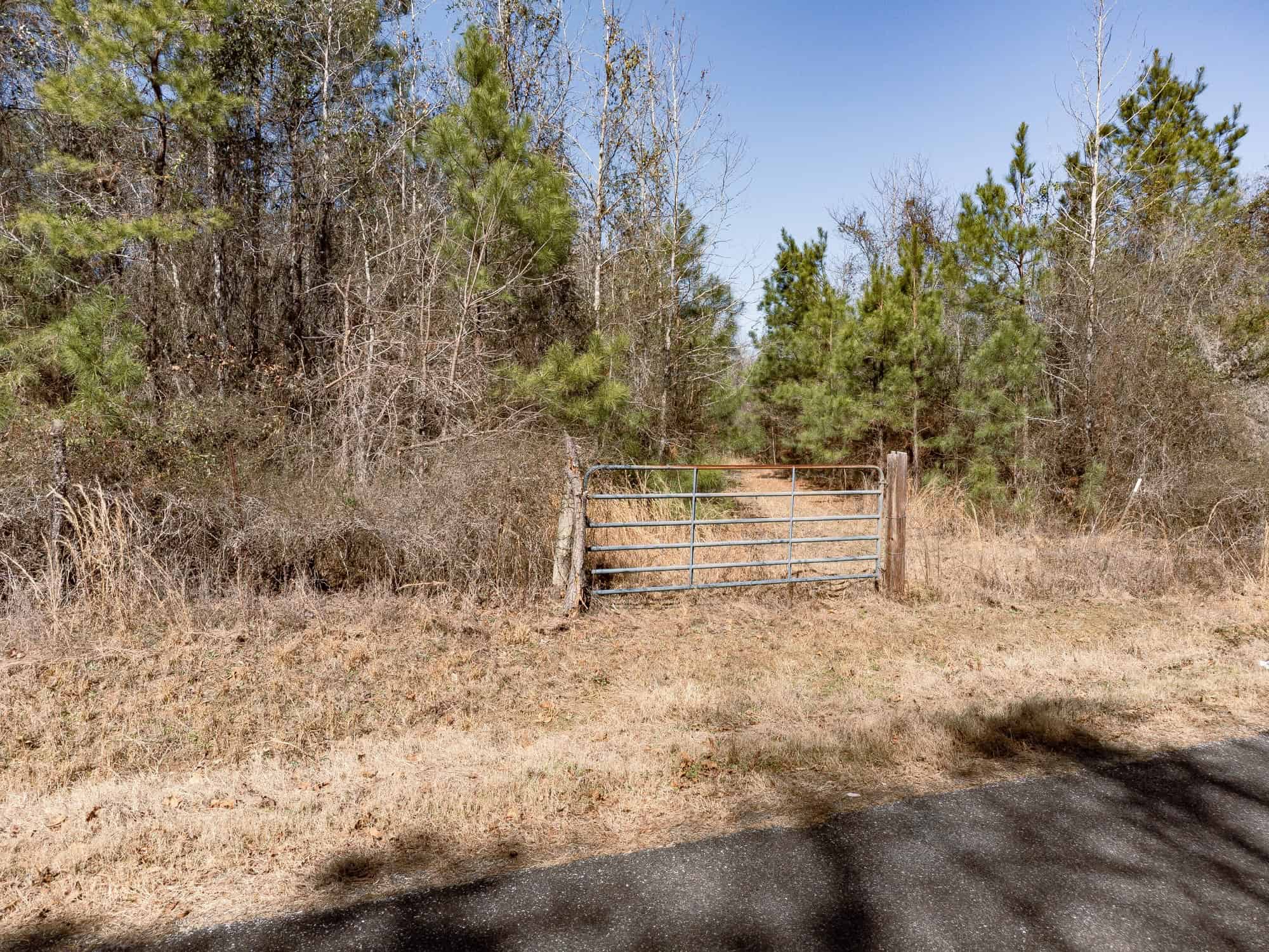 Woodville 45 – SW Lincoln Parish Timber Tract