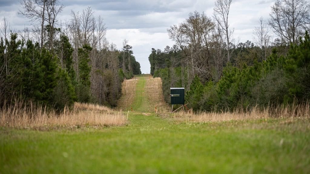 Affordable Hunting Property in Amite County