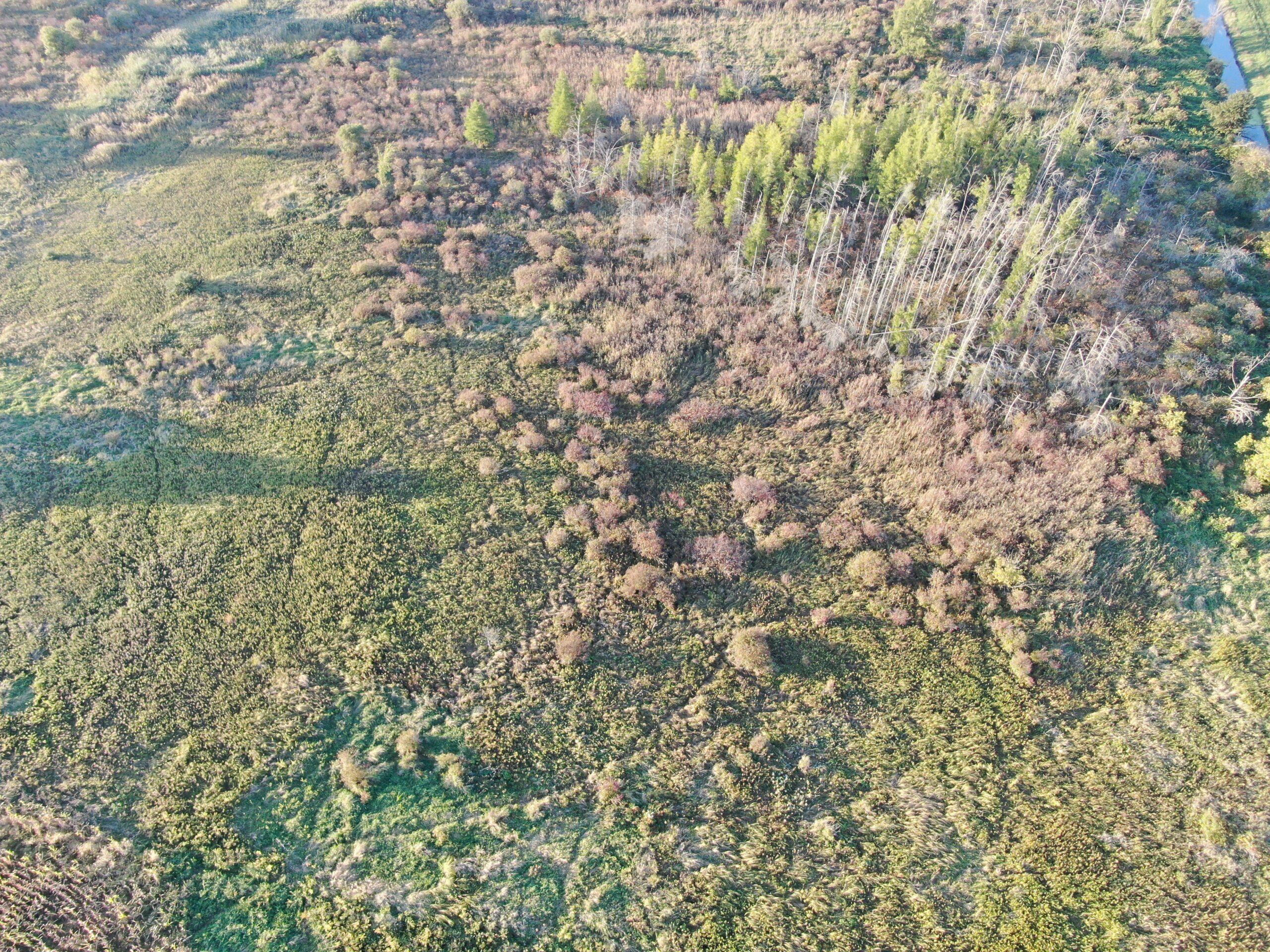 40-acre gem in Marquette County, Wisconsin