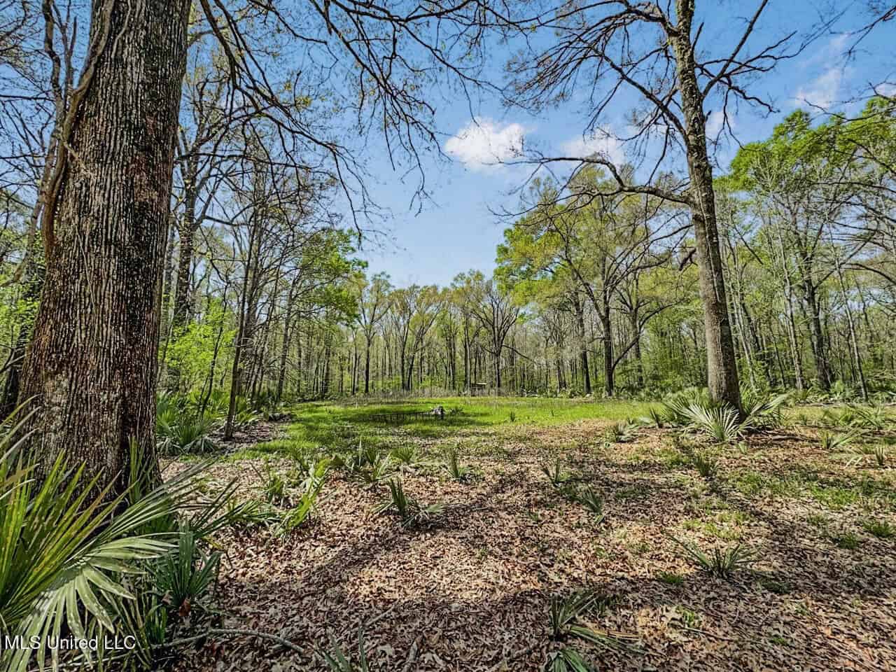 Affordable Deer/Duck Combination in Concordia Parish