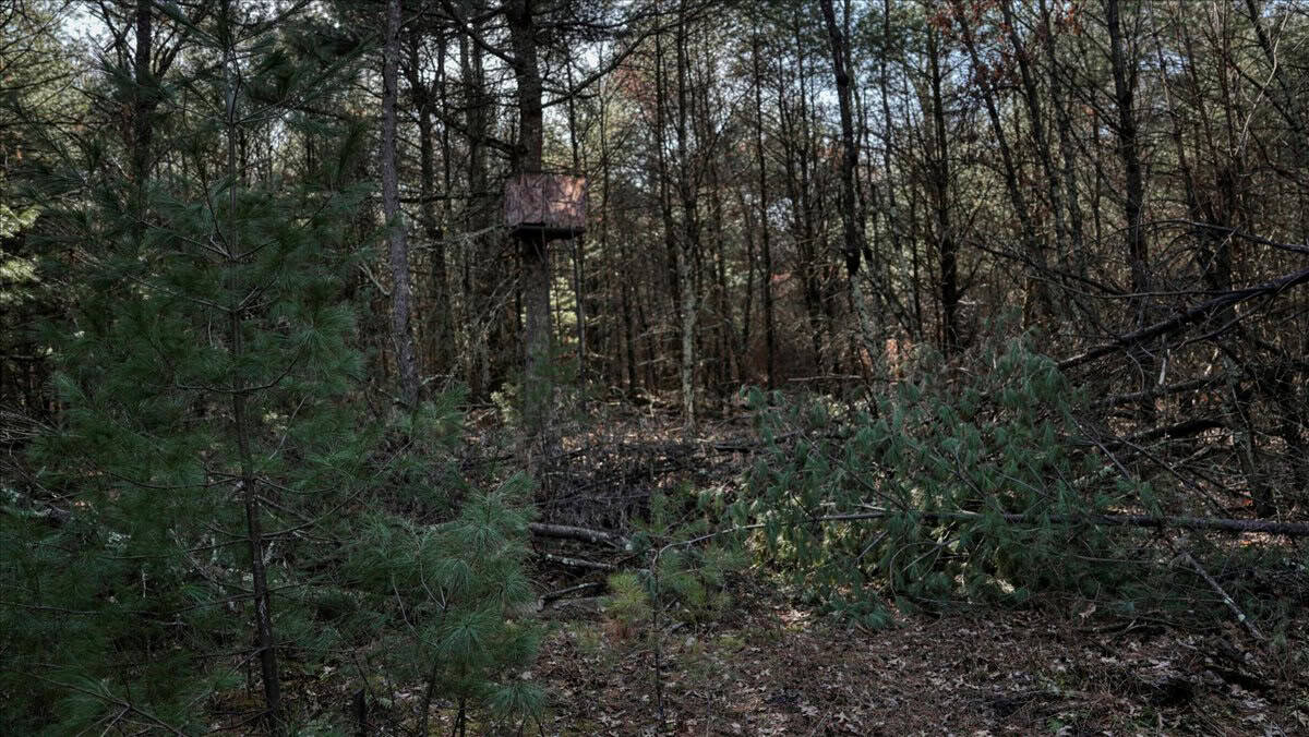 Premier Hunting and Recreational Property in Monroe County