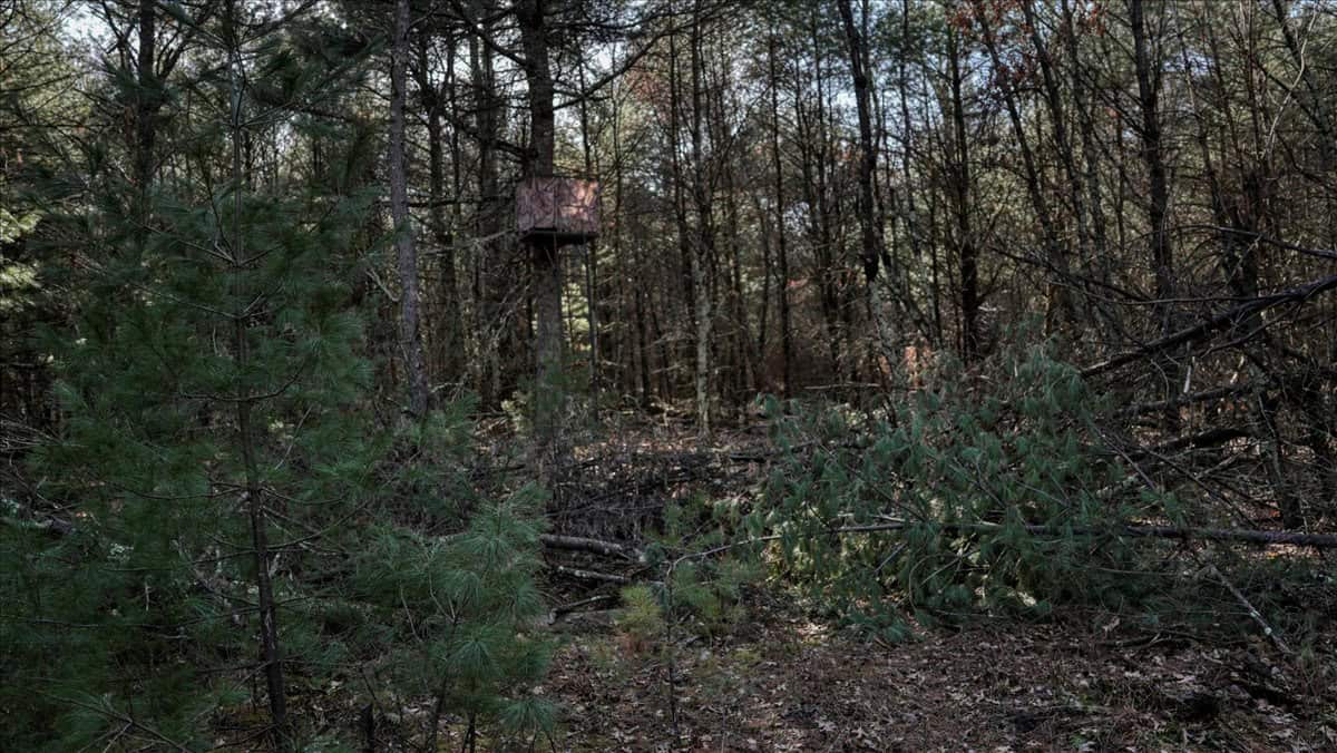 Premier Hunting and Recreational Property in Monroe County