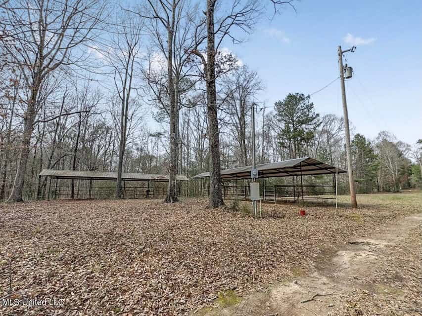 20 Acres and Cabin Adjoining Homochitto National Forest