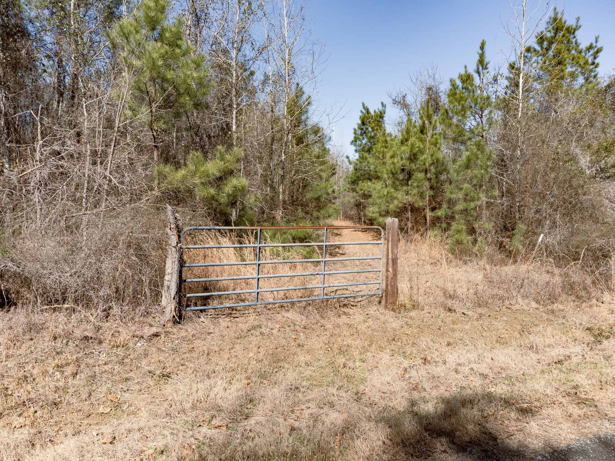 Woodville 45 – SW Lincoln Parish Timber Tract