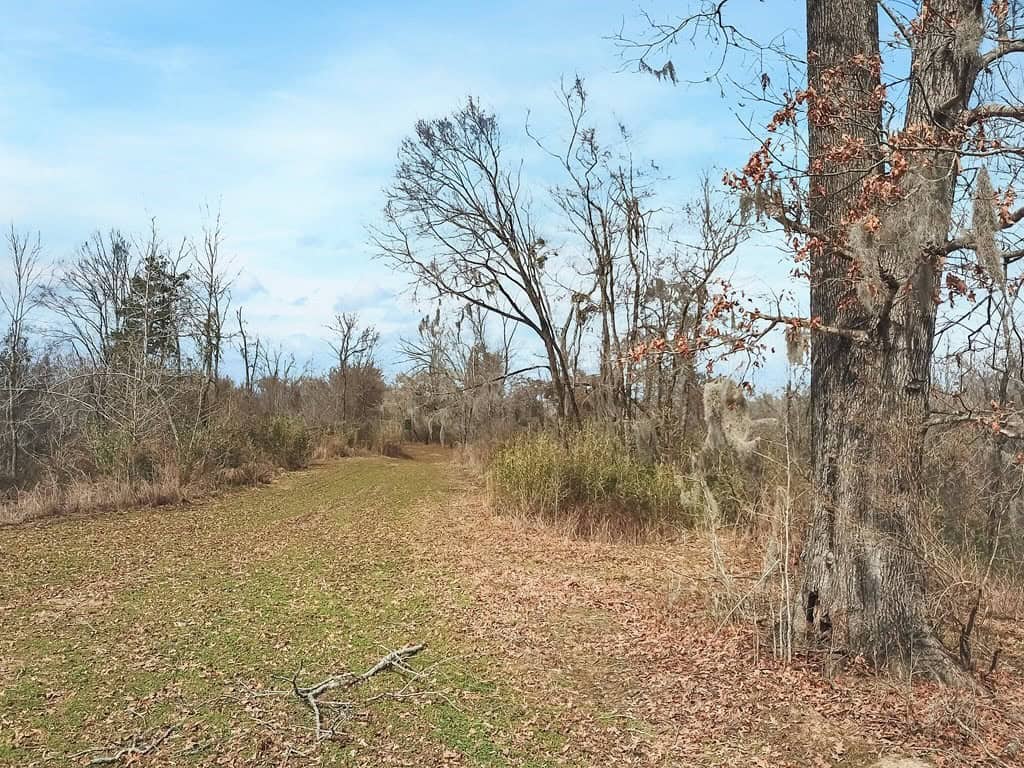 1001 Travelers Rest Road
