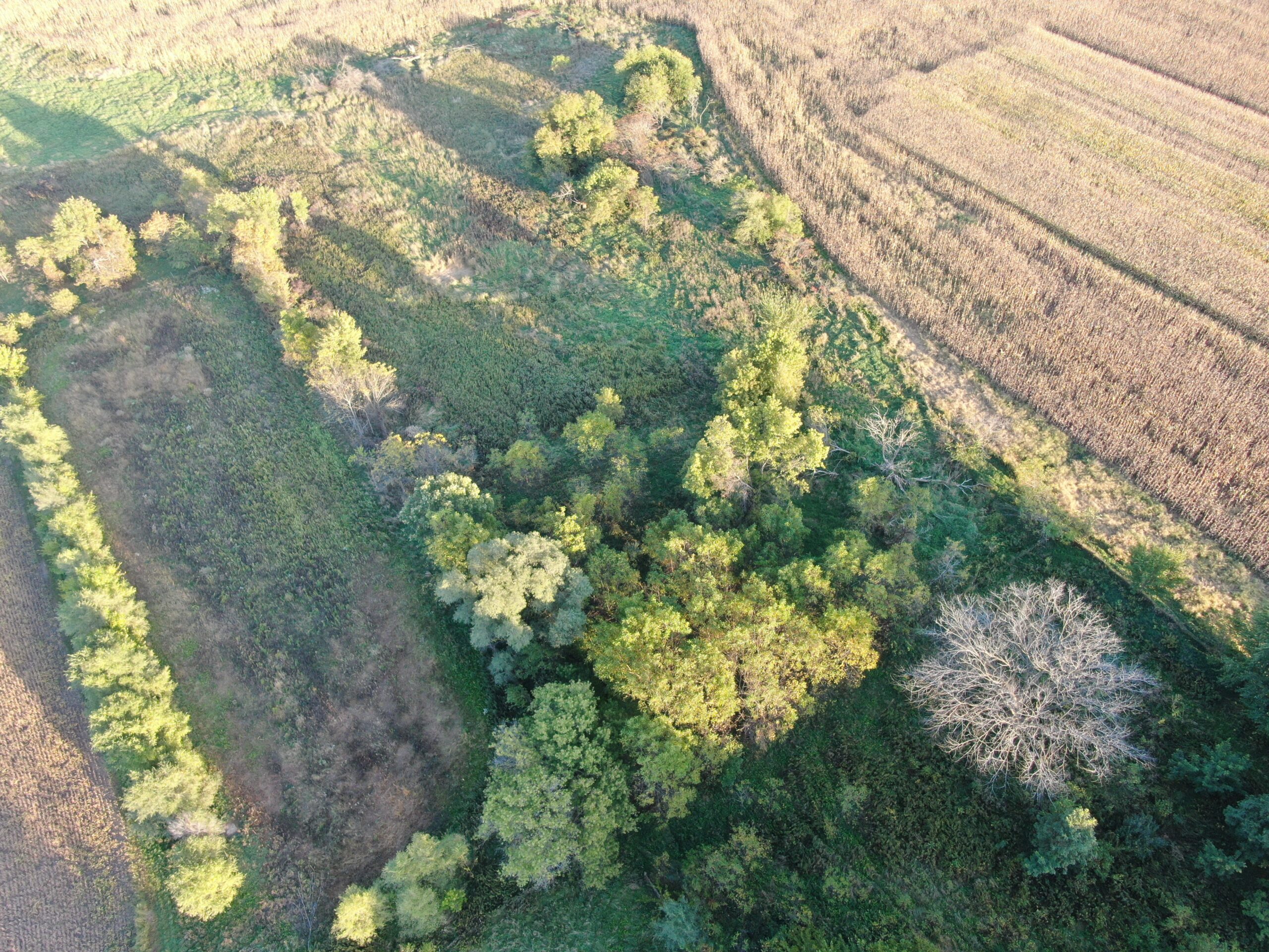 40-acre gem in Marquette County, Wisconsin