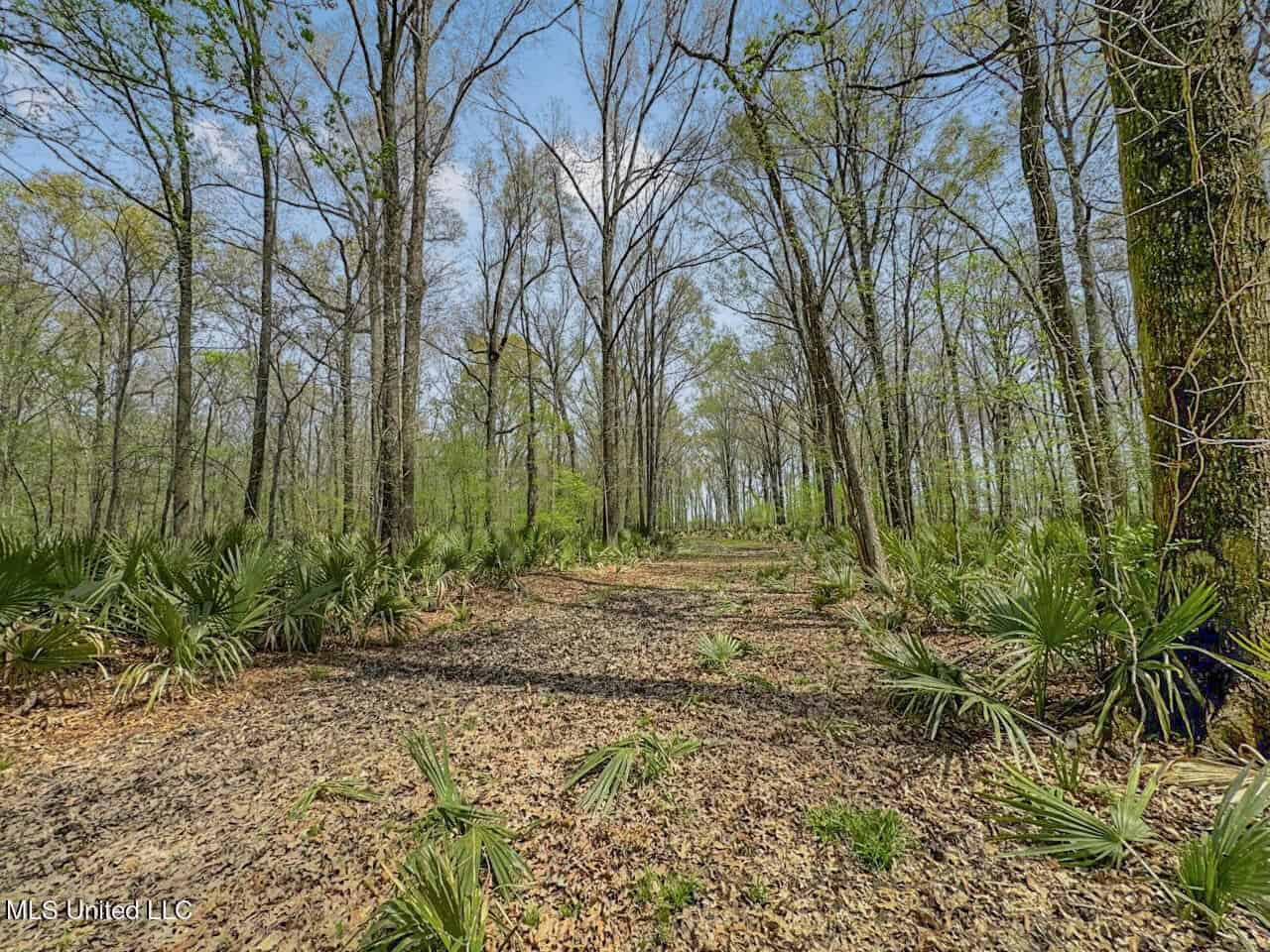 Affordable Deer/Duck Combination in Concordia Parish