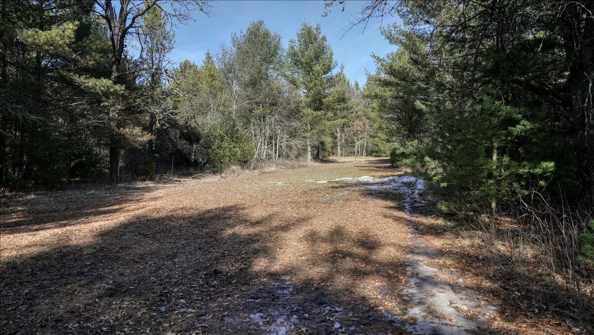 Premier Hunting and Recreational Property in Monroe County