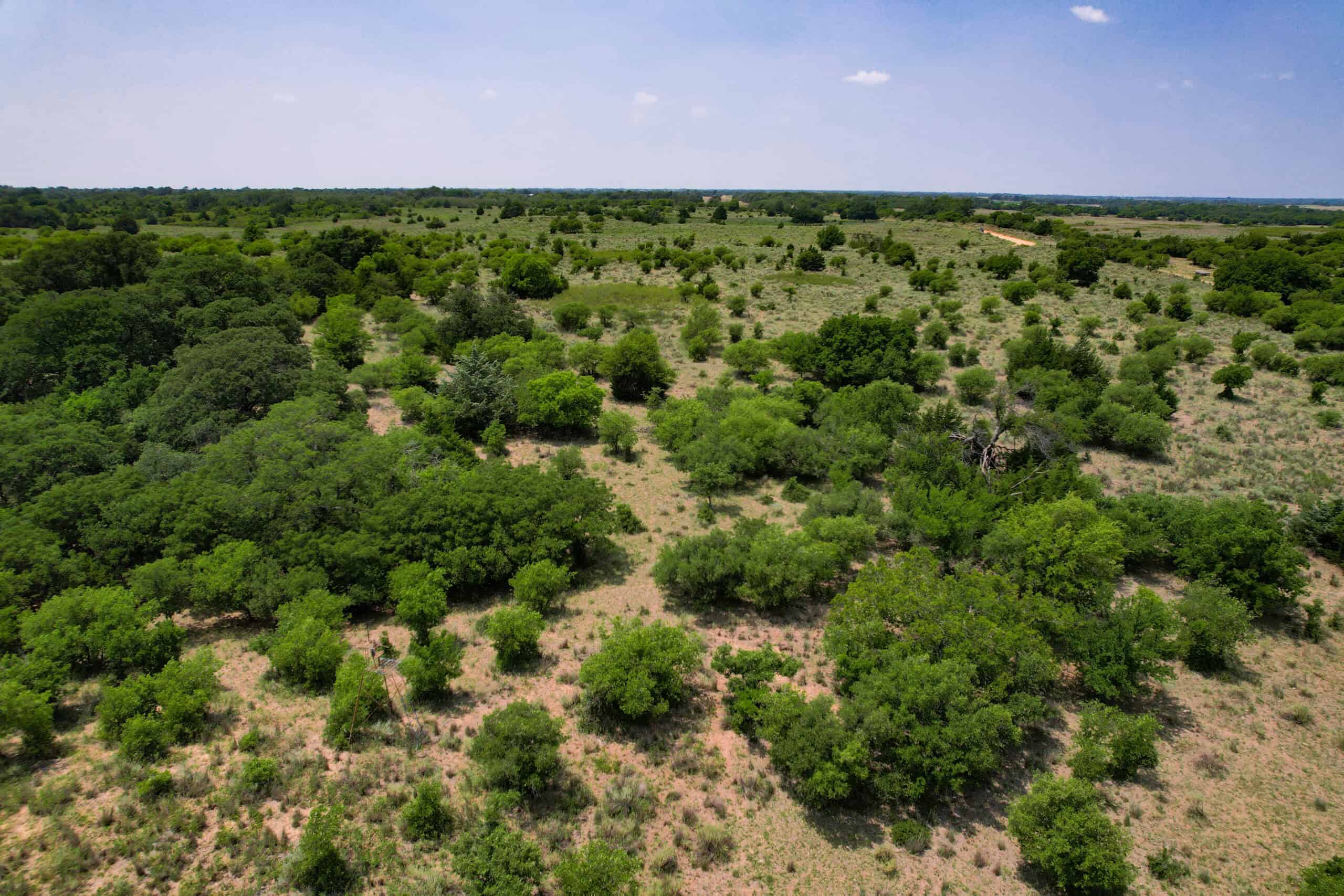 Multi-Property Auction Greer and Kiowa County Land Oklahoma