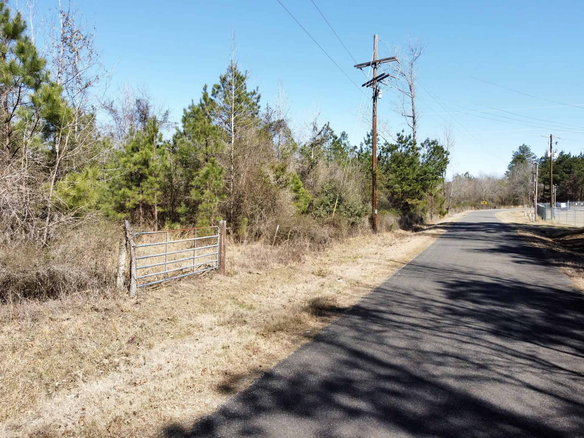 Woodville 54 – SW Lincoln Parish Timber Tract